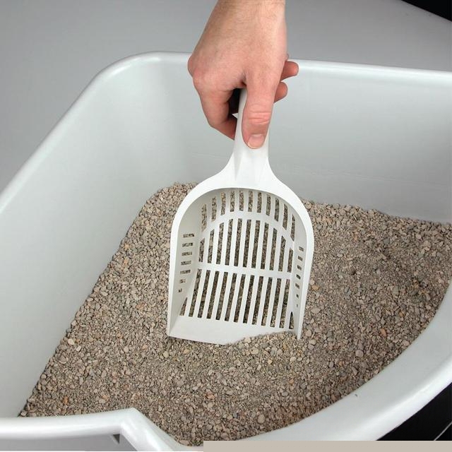 养猫怎么保持家里干净？