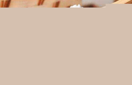 猫咪总是拉稀怎么回事，该怎么办？