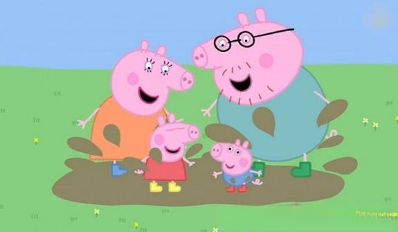 猫为什么不能拴着?