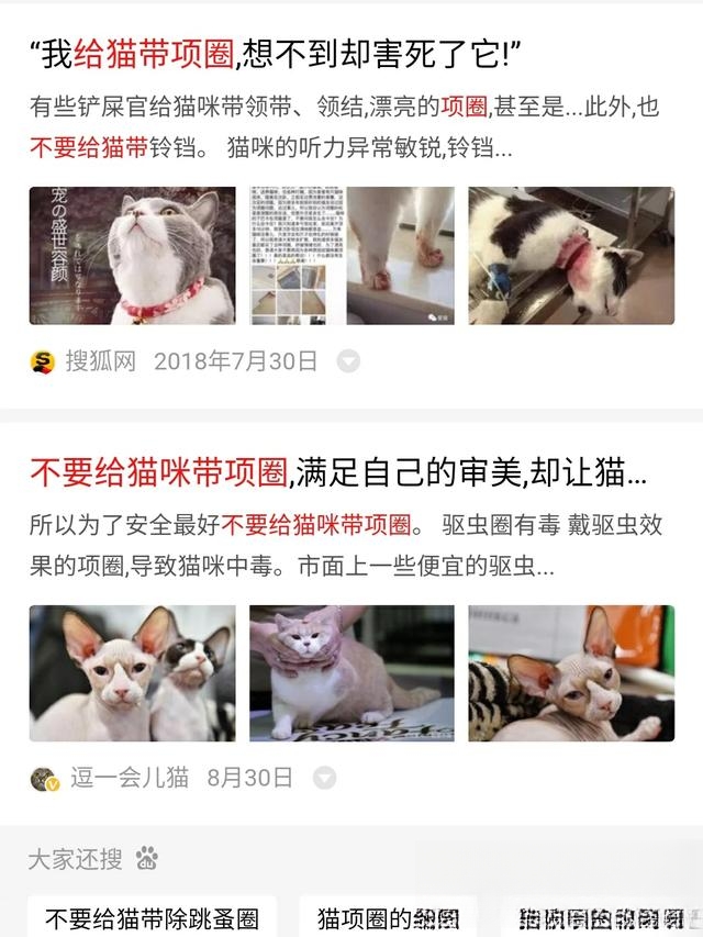猫咪为什么不愿意戴项圈?