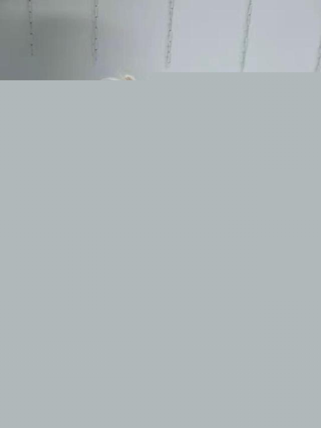 公猫咪做了绝育手术还会到处跑吗?