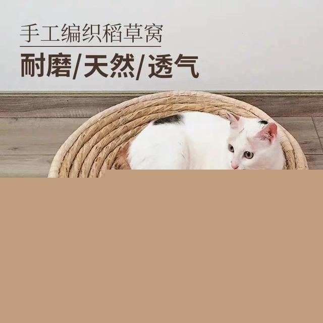 咨询养猫人士，需要准备猫窝给猫睡觉么？