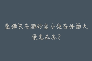 蓝猫只在猫砂盆小便在外面大便怎么办?