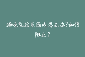 猫咪乱捡东西吃怎么办?如何阻止?
