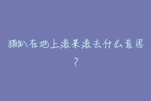 猫趴在地上滚来滚去什么意思?