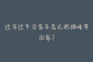 过年过节没有车怎么把猫咪带回家?