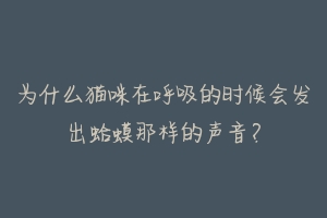 为什么猫咪在呼吸的时候会发出蛤蟆那样的声音?