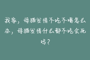 我家,母猫发情不吃不喝怎么办,母猫发情什么都不吃会死吗?
