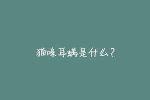 猫咪耳螨是什么?
