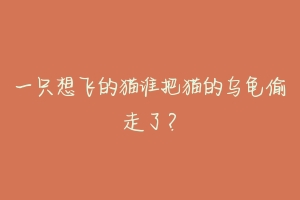 一只想飞的猫谁把猫的乌龟偷走了?