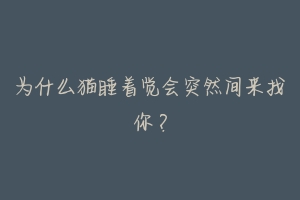 为什么猫睡着觉会突然间来找你?