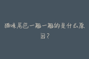 猫咪尾巴一翘一翘的是什么原因?