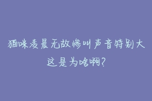 猫咪凌晨无故惨叫声音特别大这是为啥啊?