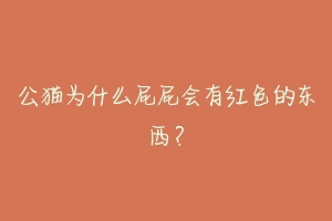 公猫为什么屁屁会有红色的东西？