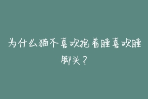 为什么猫不喜欢抱着睡喜欢睡脚头?