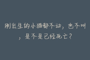 刚出生的小猫都不动，也不叫，是不是已经死亡？