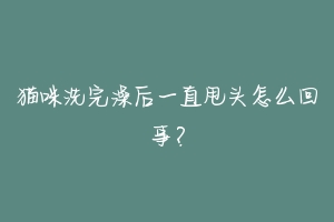猫咪洗完澡后一直甩头怎么回事?