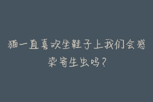 猫一直喜欢坐鞋子上我们会感染寄生虫吗?