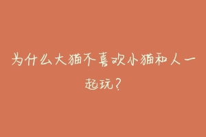 为什么大猫不喜欢小猫和人一起玩?