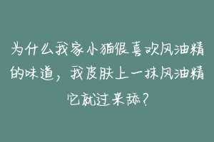 为什么我家小猫很喜欢风油精的味道,我皮肤上一抹风油精它就过来舔?