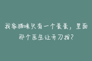 我家猫咪只有一个蛋蛋,里面那个医生让开刀找?