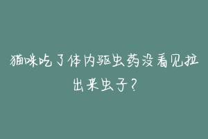 猫咪吃了体内驱虫药没看见拉出来虫子?