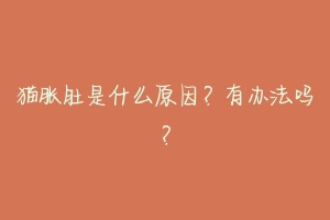 猫胀肚是什么原因？有办法吗？