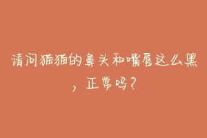 请问猫猫的鼻头和嘴唇这么黑，正常吗？