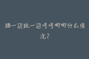 猫一边跑一边哼哼唧唧什么情况?
