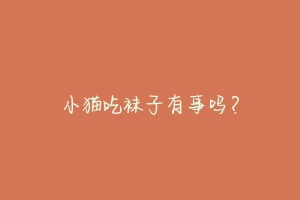 小猫吃袜子有事吗?