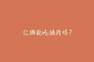 公猫能吃猪肉吗?