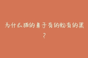 为什么猫的鼻子有的粉有的黑?