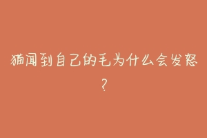 猫闻到自己的毛为什么会发怒?