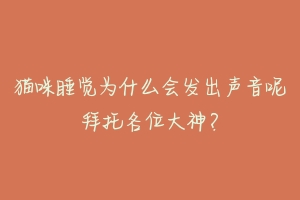 猫咪睡觉为什么会发出声音呢拜托各位大神？