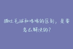 猫吐毛球和哮喘的区别,是要怎么解决的?