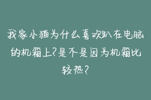 我家小猫为什么喜欢趴在电脑的机箱上?是不是因为机箱比较热？