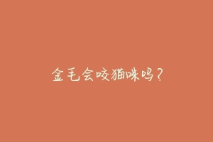 金毛会咬猫咪吗？