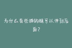 为什么有些猫的腿可以伸到后面？