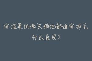 你温柔的像只猫他都嫌你掉毛什么意思?