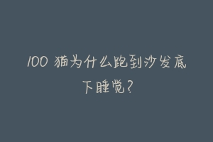 100 猫为什么跑到沙发底下睡觉?