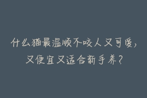 什么猫最温顺不咬人又可爱,又便宜又适合新手养？