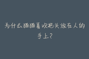 为什么猫猫喜欢把头放在人的手上?