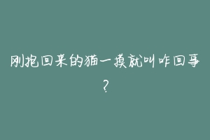 刚抱回来的猫一摸就叫咋回事?
