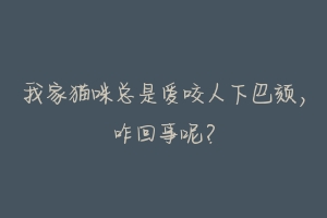 我家猫咪总是爱咬人下巴颏,咋回事呢?