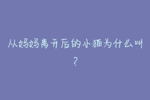 从妈妈离开后的小猫为什么叫?