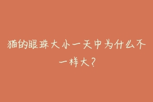 猫的眼珠大小一天中为什么不一样大?