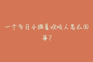 一个多月小猫喜欢咬人怎么回事?