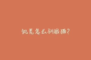 饥荒怎么驯服猫？