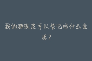 我的猫很皮可以管它吗什么意思?