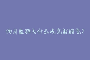 俩月蓝猫为什么吃完就睡觉?